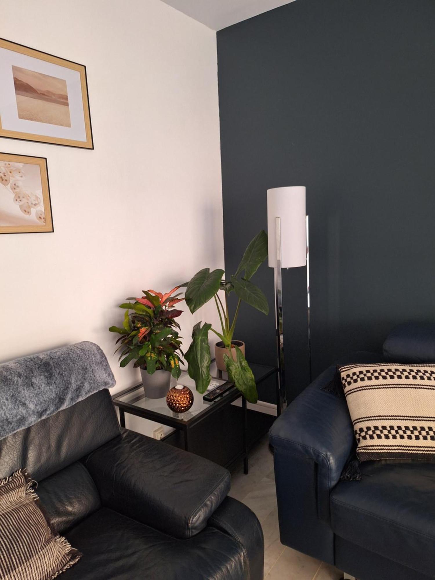 Appartement T3 Plein Centre Saint-Raphaël Kültér fotó